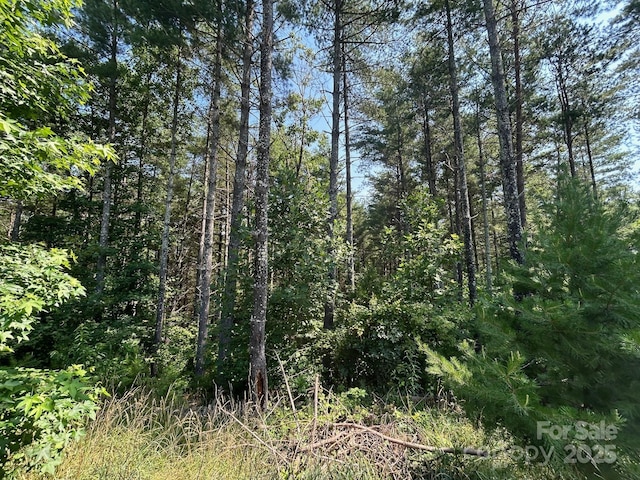 268 Crest View Dr Unit 94, Nebo, NC 28761