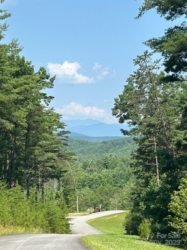 268 Crest View Dr Unit 94, Nebo, NC 28761