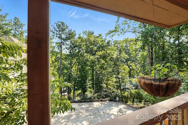 1119 Palmyra Dr, Tega Cay, SC 29708 - photo 19