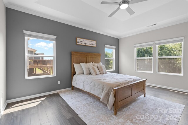18568 Mainsail Ct, Lancaster, SC 29720 - bedroom featuring ornamental molding, light wood-style floors, a raised ceiling, and a ceiling fan