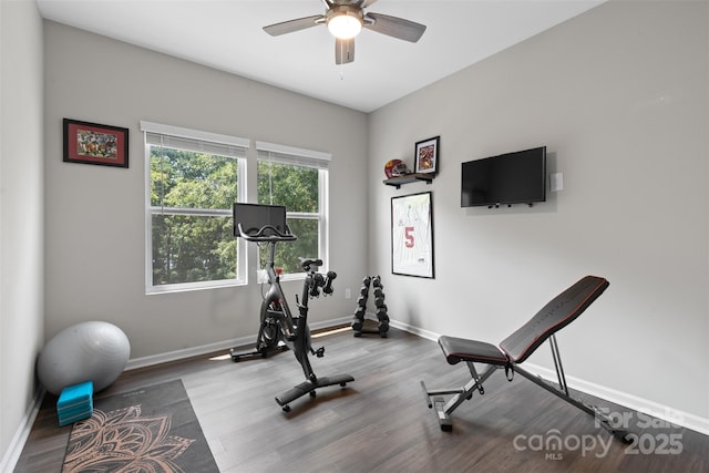 18568 Mainsail Ct, Lancaster, SC 29720 - exercise area with wood finished floors and ceiling fan