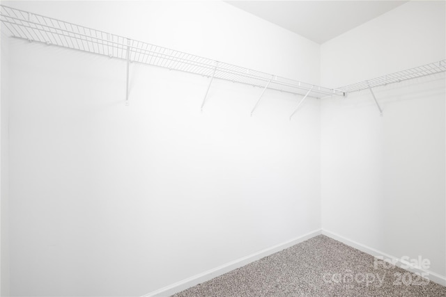 12548 Gotland Rd Unit 327, Midland, NC 28107 - walk in closet with carpet flooring