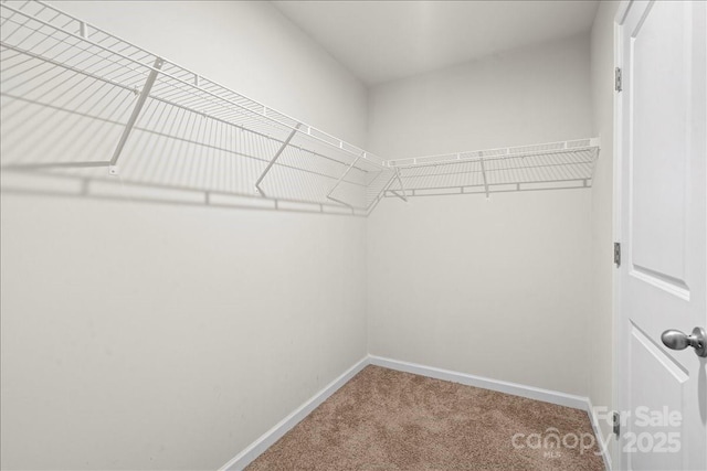 221 Wildflower Dr, Locust, NC 28097 - photo 21