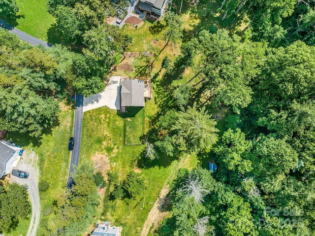 107 Mears Ridge Dr, Asheville, NC 28806 - photo 25