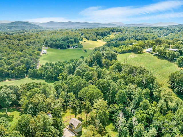 107 Mears Ridge Dr, Asheville, NC 28806 - photo 32