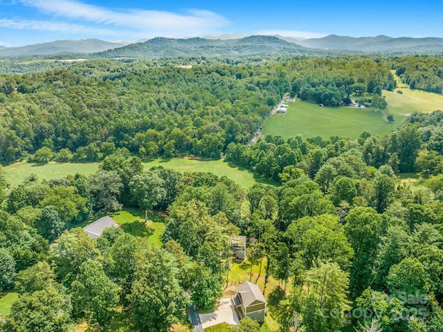 107 Mears Ridge Dr, Asheville, NC 28806 - photo 33
