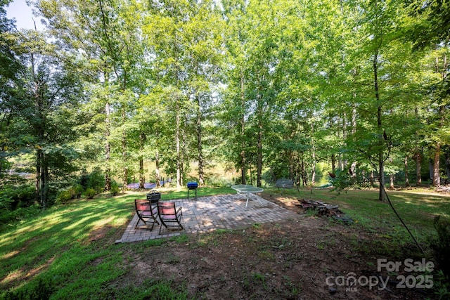 3595 Lake Bluff Dr, Sherrills Ford, NC 28673 - view of green lawn with a patio area