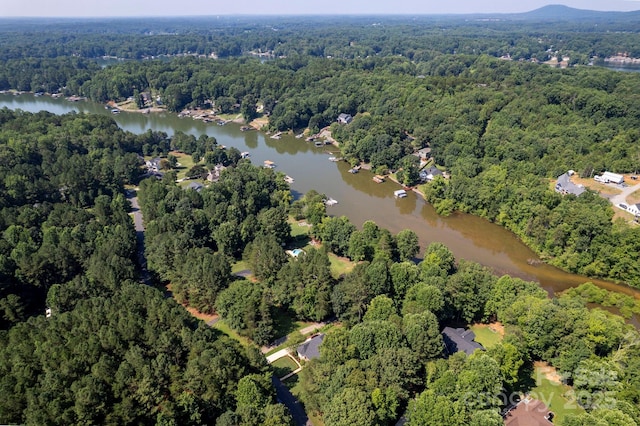 3595 Lake Bluff Dr, Sherrills Ford, NC 28673 - aerial view of property's location featuring a forest and a large body of water