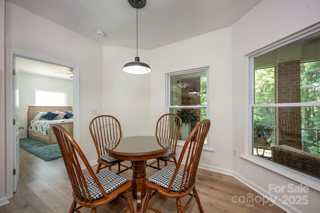 3595 Lake Bluff Dr, Sherrills Ford, NC 28673 - dining room with wood finished floors and healthy amount of natural light