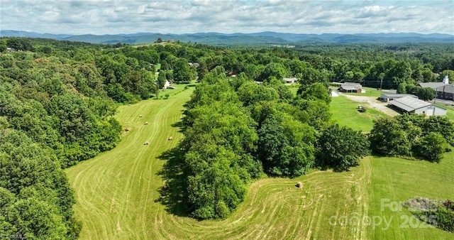 820 Suncrest Orchard Rd, North Wilkesboro, NC 28659 - drone / aerial view of a forest