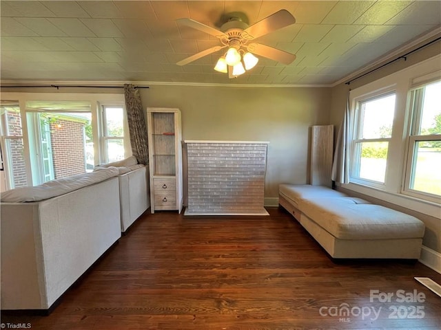 820 Suncrest Orchard Rd, North Wilkesboro, NC 28659 - bedroom featuring multiple windows, ornamental molding, dark wood-style flooring, and a ceiling fan