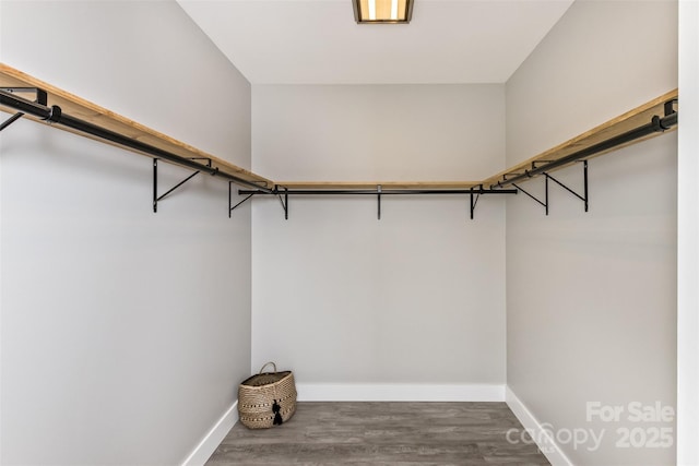 11 S Pine Dr, Weaverville, NC 28787 - walk in closet with wood finished floors