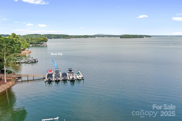 114 Thurstons Way, Mooresville, NC 28117 - water view