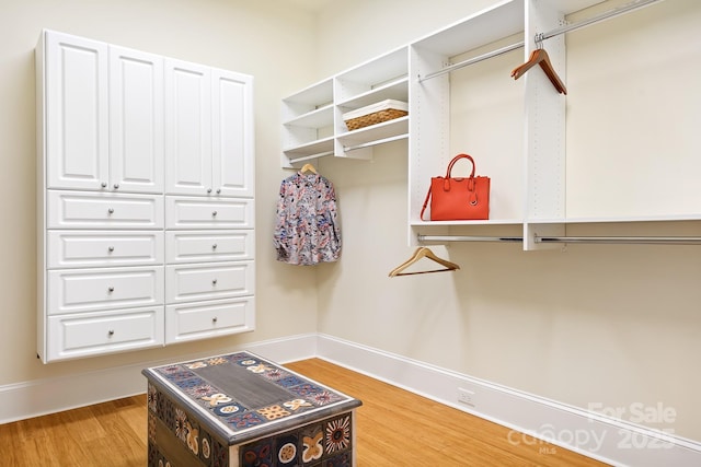 114 Thurstons Way, Mooresville, NC 28117 - walk in closet featuring light wood-type flooring
