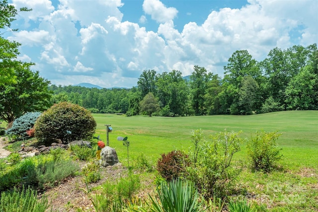 141 Courtland Ct, Lake Lure, NC 28746 - photo 3