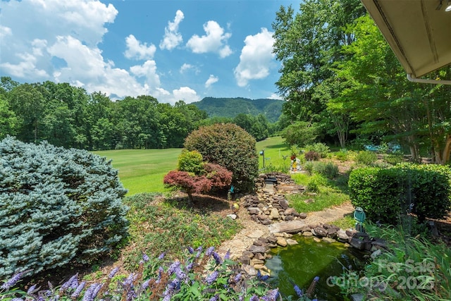 141 Courtland Ct, Lake Lure, NC 28746 - photo 15
