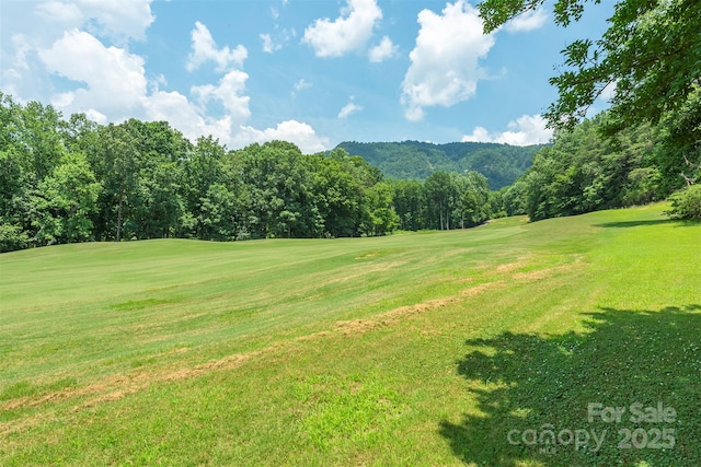 141 Courtland Ct, Lake Lure, NC 28746 - photo 16