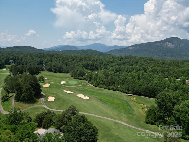 141 Courtland Ct, Lake Lure, NC 28746 - photo 17