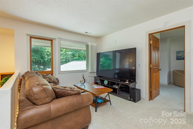 141 Courtland Ct, Lake Lure, NC 28746 - photo 25