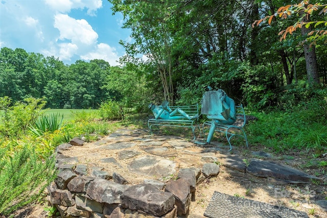 141 Courtland Ct, Lake Lure, NC 28746 - photo 32