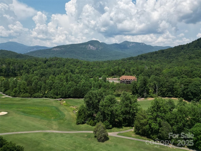 141 Courtland Ct, Lake Lure, NC 28746 - photo 37