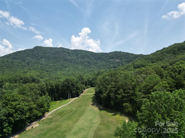 141 Courtland Ct, Lake Lure, NC 28746 - photo 38