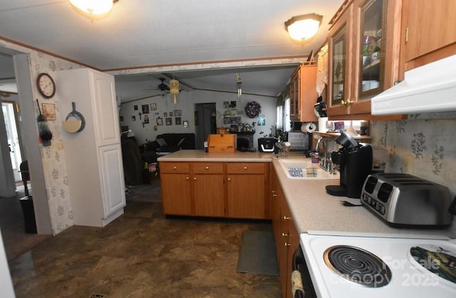 4854 Elk Ct, Morganton, NC 28655 - kitchen with light countertops, white range with electric stovetop, under cabinet range hood, a ceiling fan, and glass insert cabinets