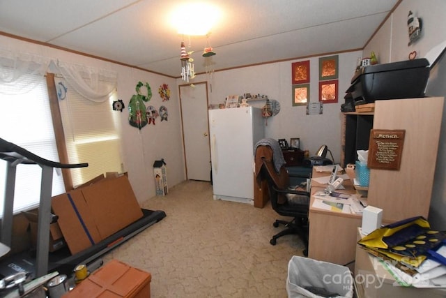 4854 Elk Ct, Morganton, NC 28655 - home office with ornamental molding and carpet floors