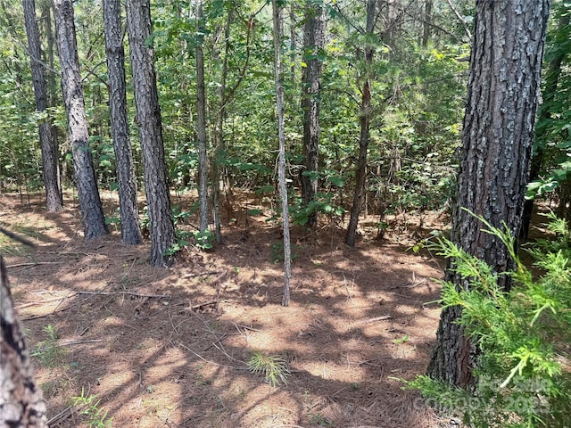 LOT262 Cross Creek Dr, Rutherfordton, NC 28139 - photo 2