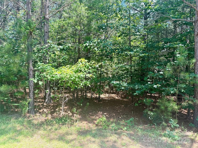 LOT262 Cross Creek Dr, Rutherfordton, NC 28139 - photo 3
