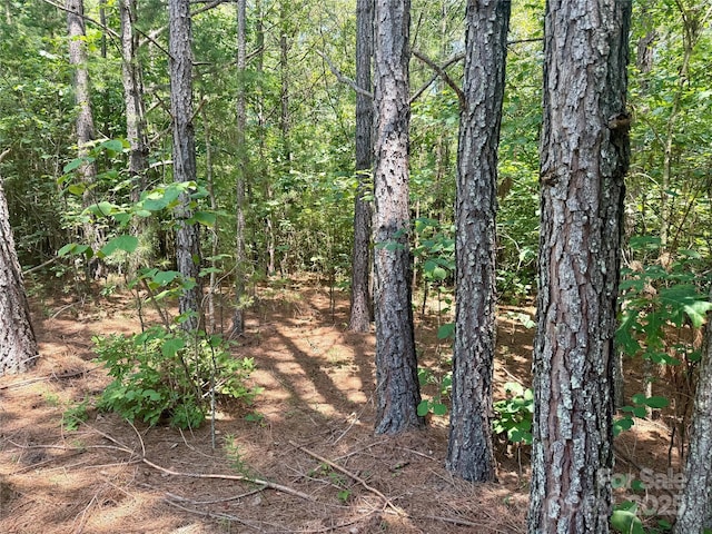 LOT262 Cross Creek Dr, Rutherfordton, NC 28139 - photo 4