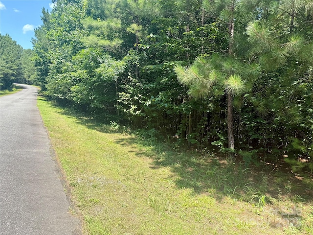 LOT262 Cross Creek Dr, Rutherfordton, NC 28139 - photo 5