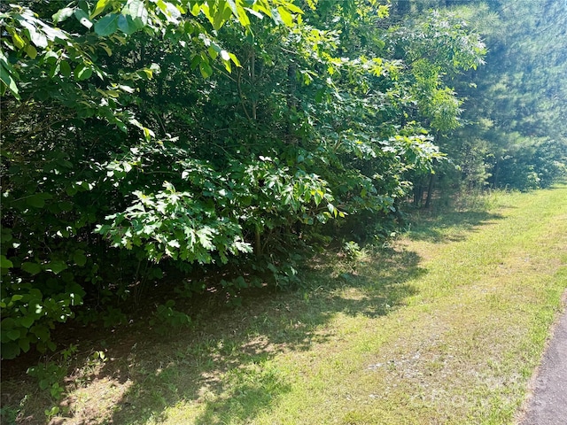 LOT262 Cross Creek Dr, Rutherfordton, NC 28139 - photo 6