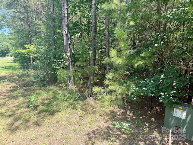 LOT262 Cross Creek Dr, Rutherfordton, NC 28139 - photo 8