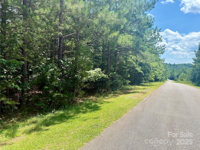 LOT262 Cross Creek Dr, Rutherfordton, NC 28139 - photo 10