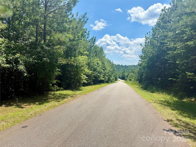 LOT262 Cross Creek Dr, Rutherfordton, NC 28139 - photo 11
