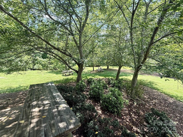 LOT262 Cross Creek Dr, Rutherfordton, NC 28139 - photo 19