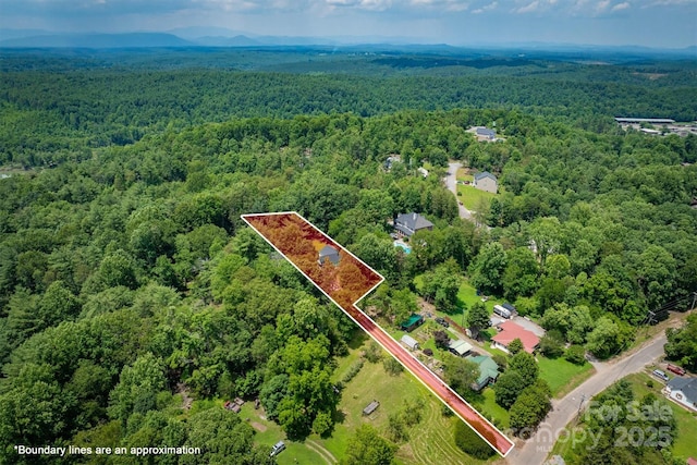 835 Vine Arden Rd, Morganton, NC 28655 - aerial overview of property's location with a forest and property parcel outlined