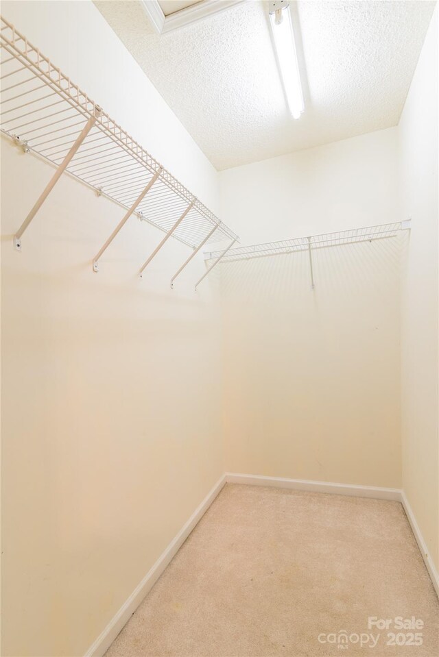 10763 Holly Ridge Blvd, Charlotte, NC 28216 - photo 22