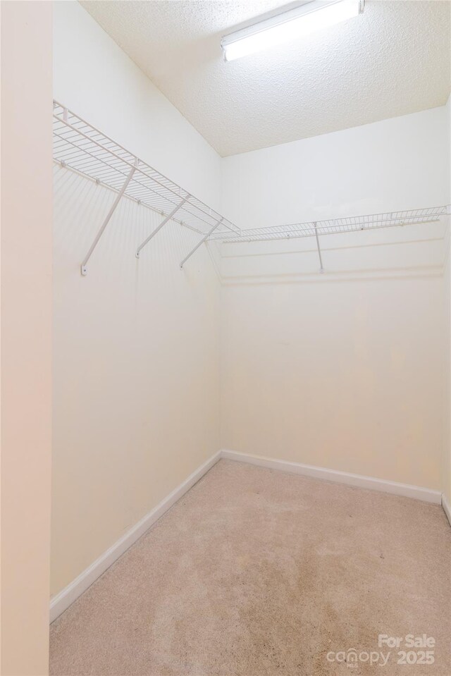 10763 Holly Ridge Blvd, Charlotte, NC 28216 - photo 29