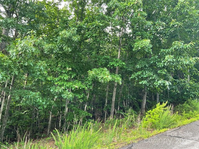 0 Pineknoll Dr, Hickory, NC 28602 - photo 17