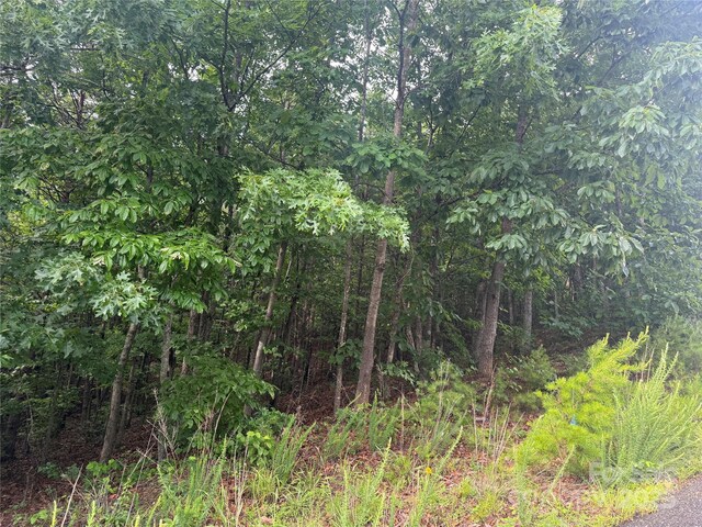 0 Pineknoll Dr, Hickory, NC 28602 - photo 23