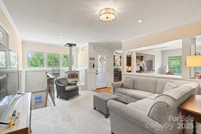 747 9th St NW, Hickory, NC 28601 - carpeted living area with a wood stove, crown molding, a textured ceiling, healthy amount of natural light, and recessed lighting