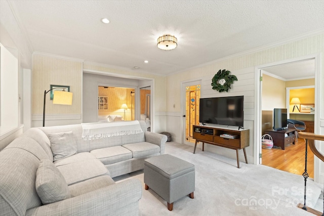 747 9th St NW, Hickory, NC 28601 - living room with crown molding, carpet floors, and a textured ceiling