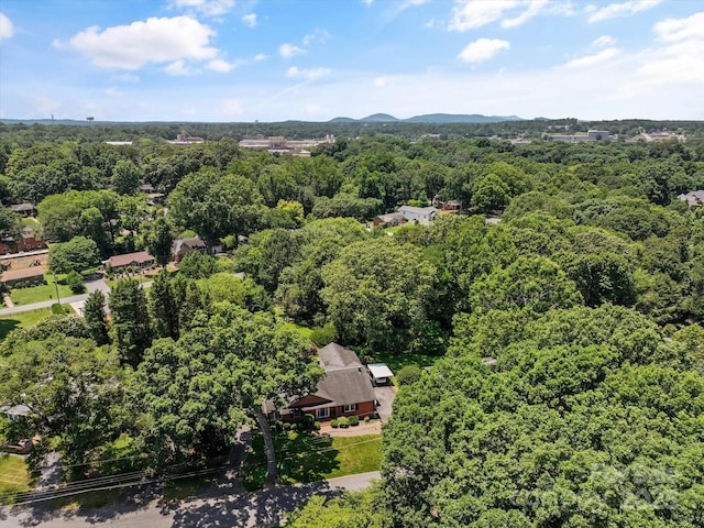 747 9th St NW, Hickory, NC 28601 - bird's eye view of a forest