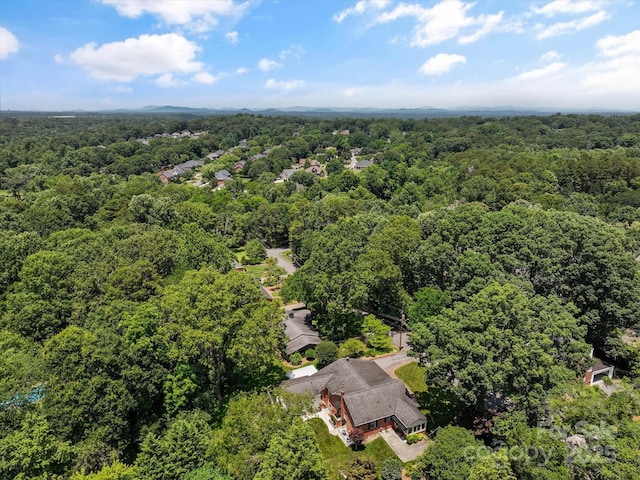 747 9th St NW, Hickory, NC 28601 - drone / aerial view of a heavily wooded area