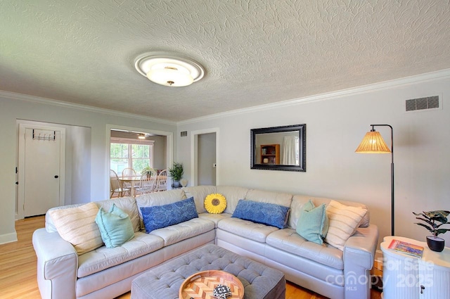 207 Buncombe St, Hendersonville, NC 28739 - living area featuring light wood-style floors, a textured ceiling, and ornamental molding