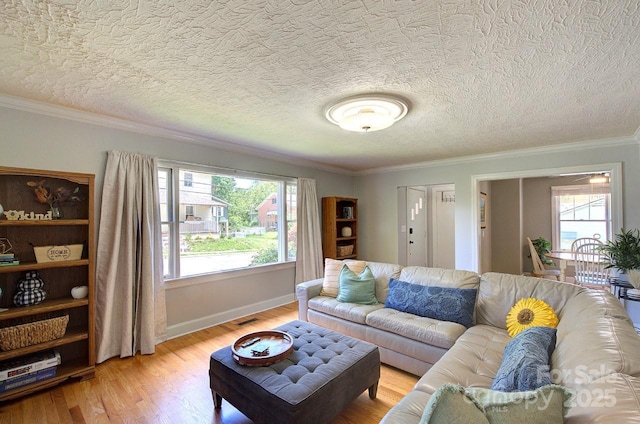 207 Buncombe St, Hendersonville, NC 28739 - living area featuring light wood-style flooring, plenty of natural light, crown molding, and a textured ceiling