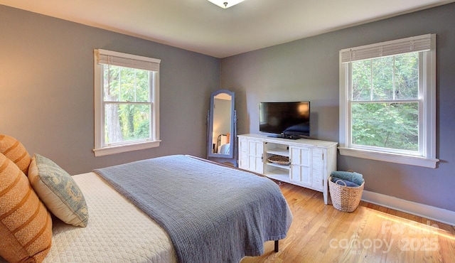 207 Buncombe St, Hendersonville, NC 28739 - bedroom with light wood finished floors and baseboards