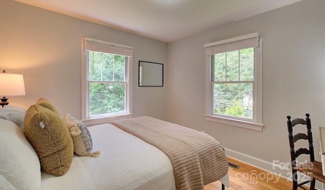 207 Buncombe St, Hendersonville, NC 28739 - bedroom with multiple windows and light wood finished floors